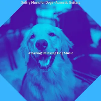 Sultry Music for Dogs - Acoustic Guitars by 