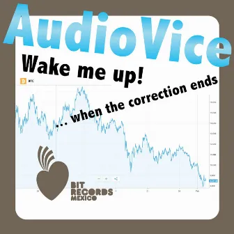 Wake Me Up When The Correction Ends by AudioVice