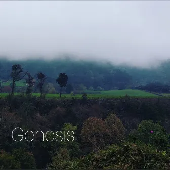 Genesis by B Feelings