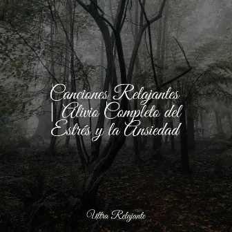 Canciones Relajantes | Alivio Completo del Estrés y la Ansiedad by Relajación Meditar Academie