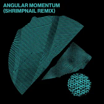 Angular Momentum (Shrimpnail Remix) by Shrimpnail