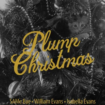 Plump Christmas by William Evans