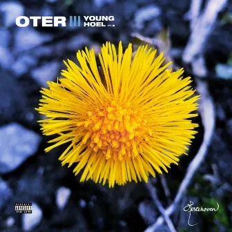 YOUNG HOEL III: HESTEHOVEN by Oter