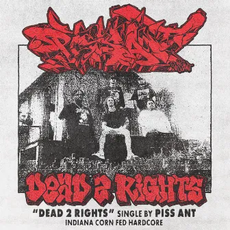 Dead 2 Rights by PISS ANT