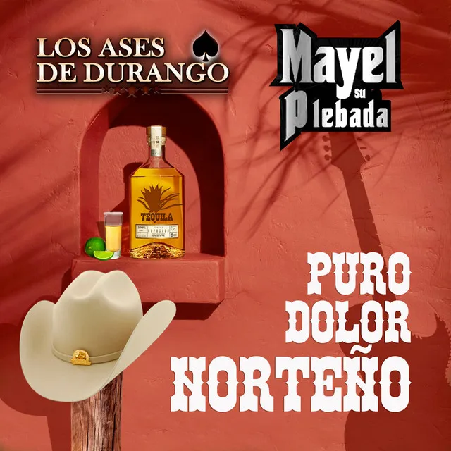 Puro Dolor Norteño (En Vivo) (Norteño)