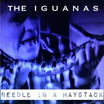 Needle in a Haystack by The Iguanas