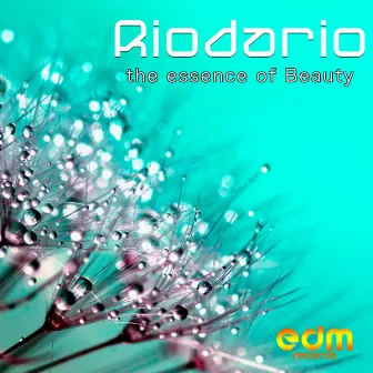 The Essence Of Beauty by Riodario