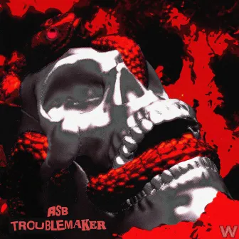 Troublemaker by Après Ski Banditos