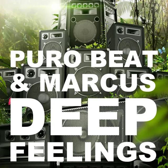 Deep Feelings - Extended Mix