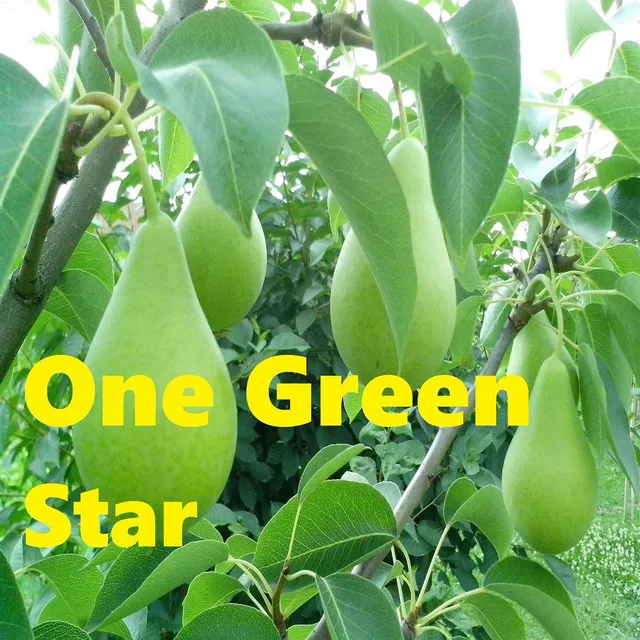 One Green