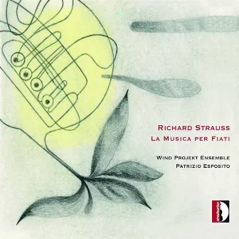 Strauss: La musica per fiati by Patrizio Esposito