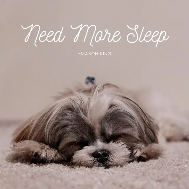 Need More Sleep