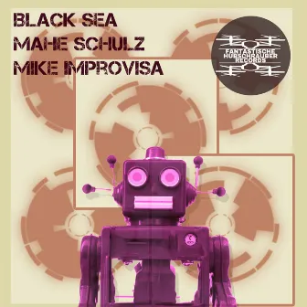 Black Sea by Mike Improvisa