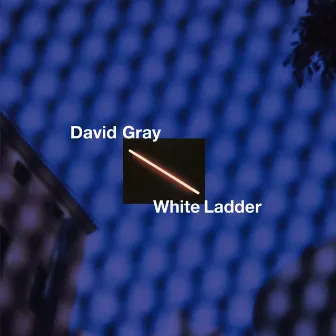 White Ladder (20th Anniversary Edition) by David Gray