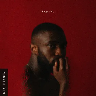 Fadin by Nia Ekanem