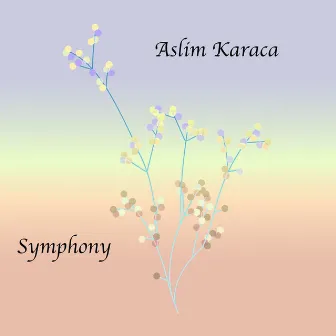 Symphony by Aslim Karaca