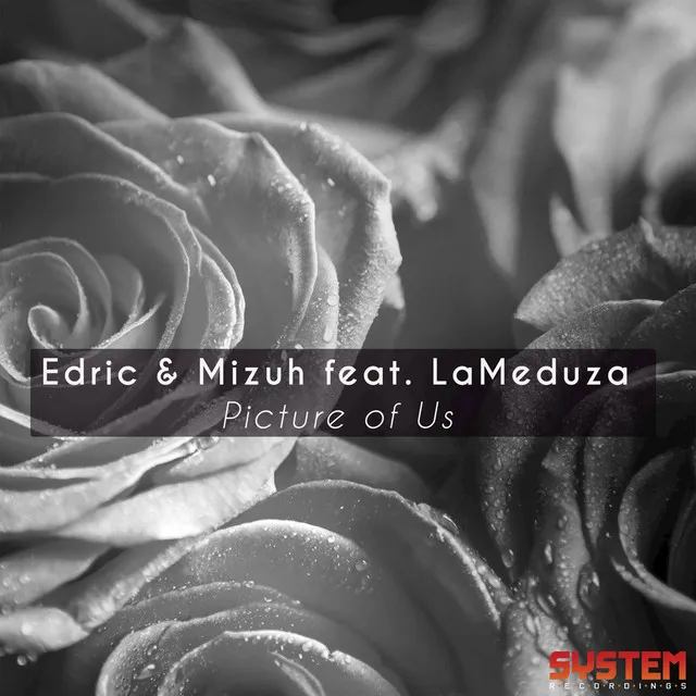 Picture of Us (feat. LaMeduza) - Original Mix