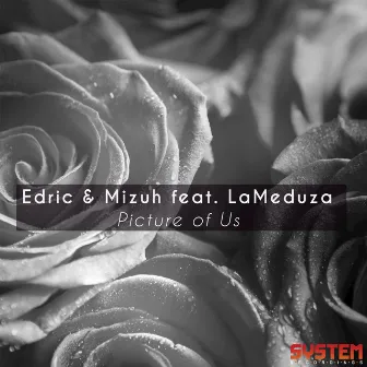 Picture of Us (feat. LaMeduza) by Edric