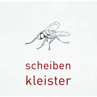 Scheibenkleister by Kleister