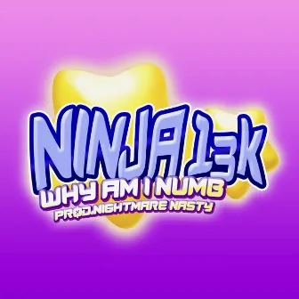 Why Am I Numb Freestyle by Ninja13k