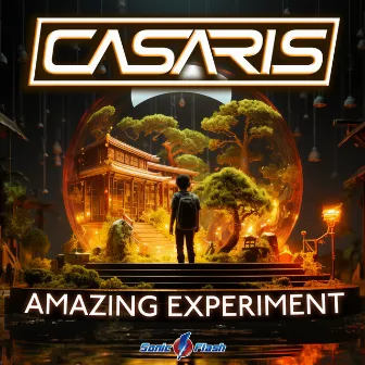 Amazing Experiment by Casaris