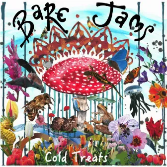 Cold Treats by Bare Jams