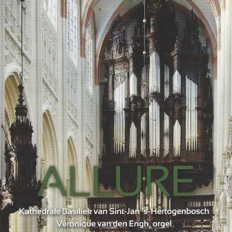 Allure (Kathedrale Baseliek van Sint-Jan, 's-Hertogenbosch) by Véronique van den Engh