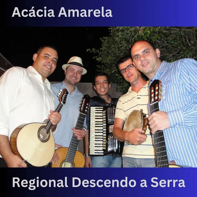 Acácia Amarela - Regional Descendo a Serra