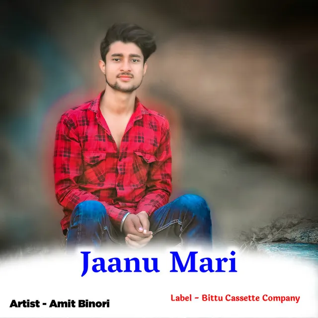 Jaanu Mari B S Shisholaw - Original