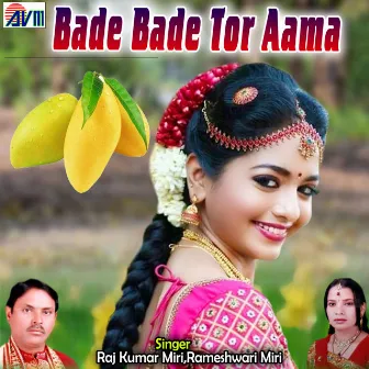 Bade Bade Tor Aama by 