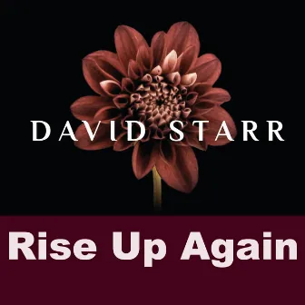 Rise up Again by David Starr