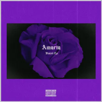 Violett EP by Amaria