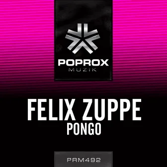 Pongo by Felix Zuppe