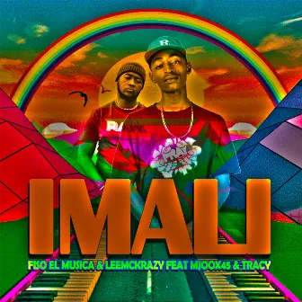 Imali (feat. Mjoox45 & Tracy) by Fiso el Musica