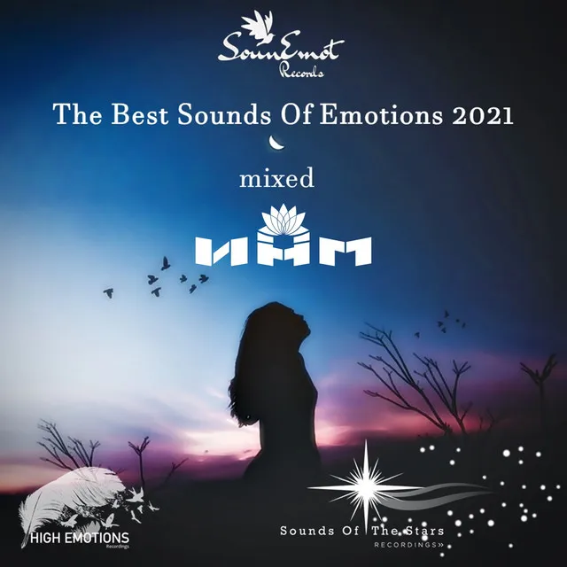 The Best Sounds of Emotions - 2021 Mixed N H M