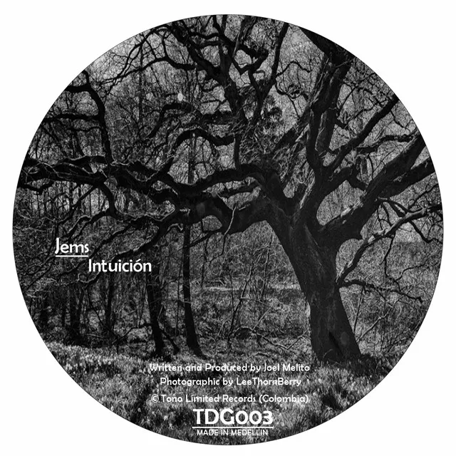 Intuicion Exponencial - Original Mix