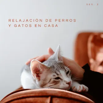 Relajación De Perros y Gatos En Casa Ses. 2 by Musica Instrumental Para Relajar tus Sentidos