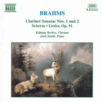 Brahms: Clarinet Sonatas by Tamara Takács