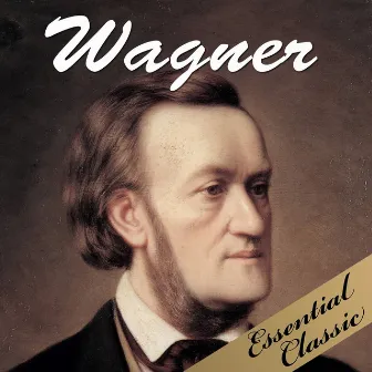 Wagner by Maciej Korczaky