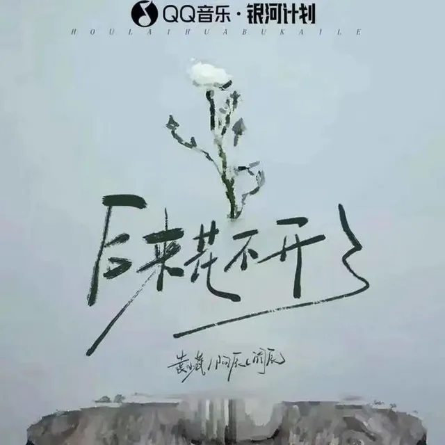 后来花不开了