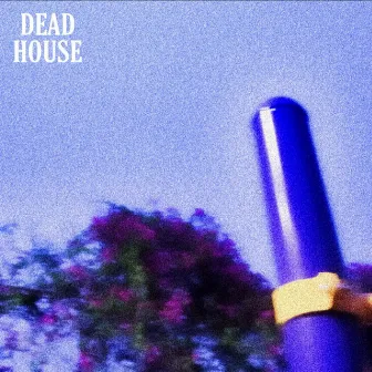 dead house by the red cup who