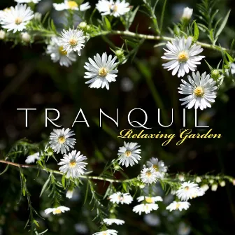 Tranquil Relaxing Garden: Relaxation Music, Nature Music, New Age Sounds, Soothing Healing Music, Calm Down, Stress Relief by Garden Music Academy