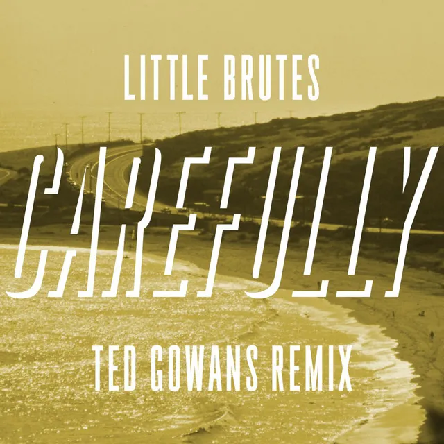 Carefully (Ted Gowans Remix)