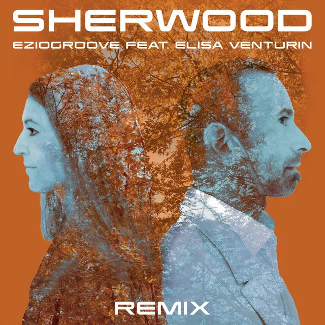 Sherwood - Remix