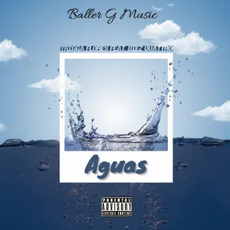 Aguas by Trigga Flores