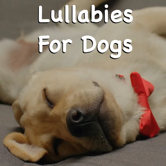 Lullabies For Dogs