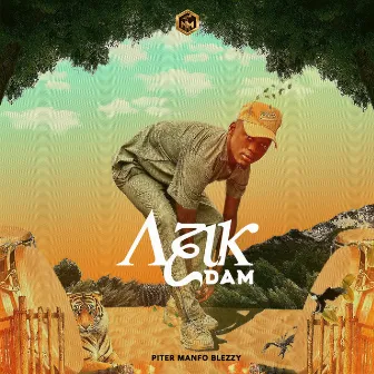 Azik Dam by Piter Manfo Blezzy