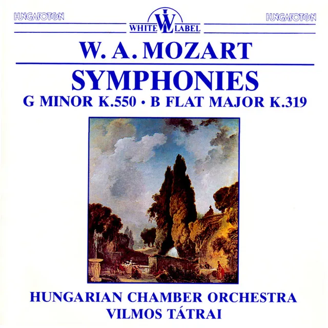 Symphony No. 40 in G Minor, K. 550: I. Molto allegro