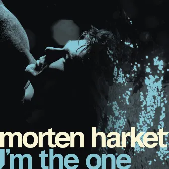 I'm The One by Morten Harket