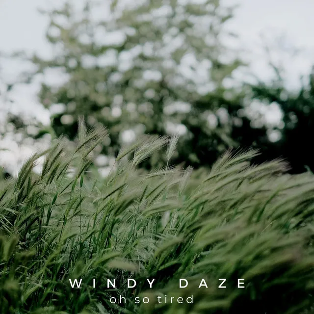 Windy Daze